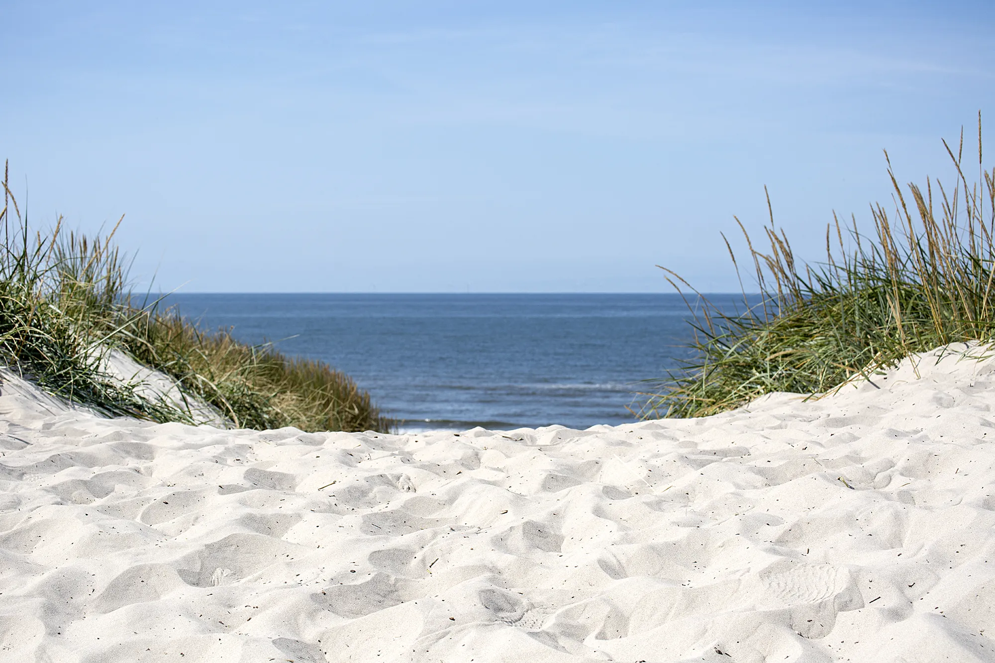 klithjem_badehotel_sandstrand_klit_01.webp