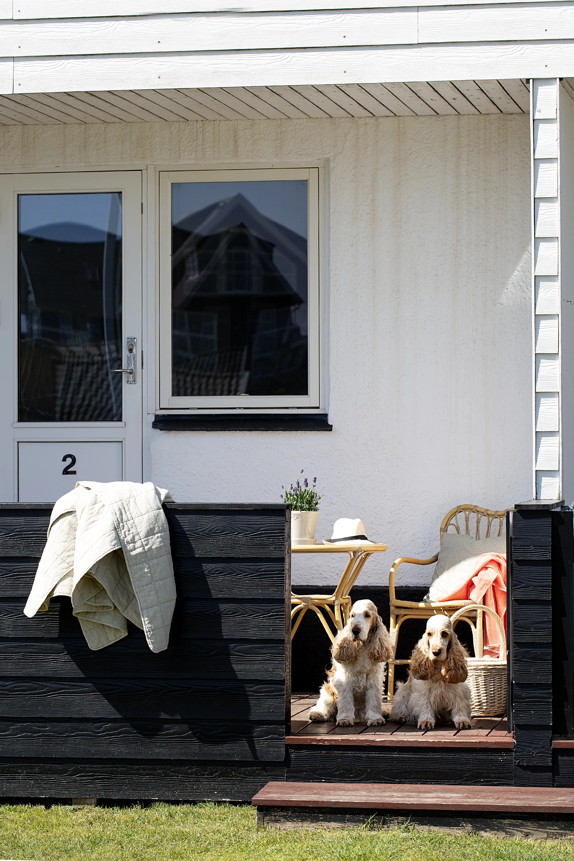Klithjem_Badehotel_hunde_paa_terasse.webp